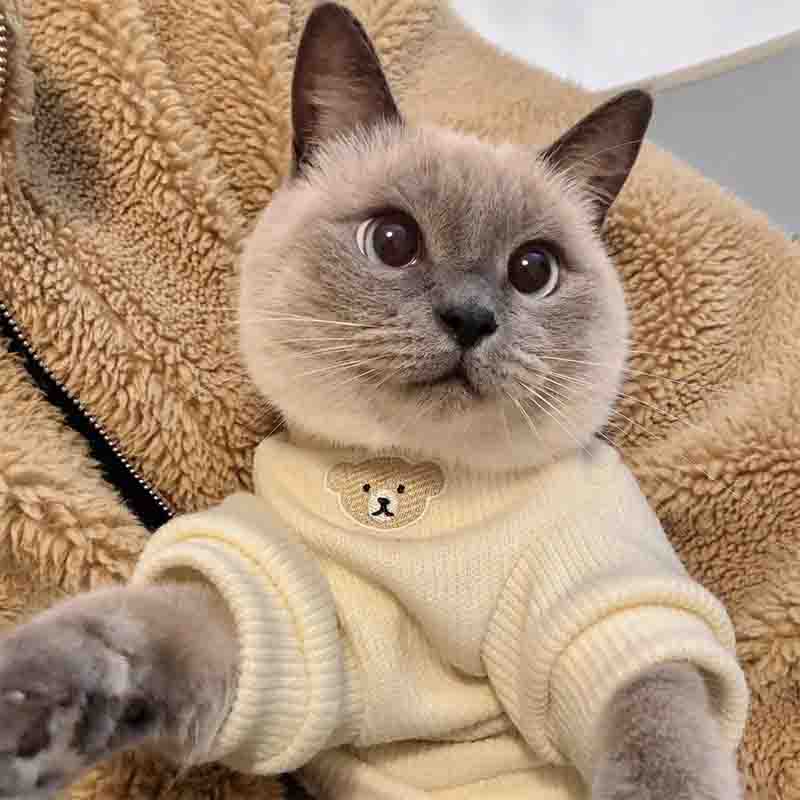 Одежда для кошек, тонкая дышащая британская короткая американская короткая весенне-осенняя одежда для домашних собак, котят, котят, для предотвращения выпадения волос