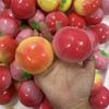 Персиковый Сквиши Ручной работы Мячик-антистресс Игрушка-фиджет Хрустящая Лепимая Сжимаемая Игрушка Круглые Блоки Наполненные Игрушка для снятия стресса Декомпрессионная Игрушка