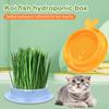 Mint Cat Grass Pot Soilless Hydroponic Lazy Cat Grass Planting Box Catnip Promote Digestion Cat Snacks Planting Container Tools