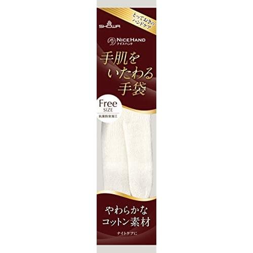 Nice Hand Skin-Care Gloves X 10-Pack