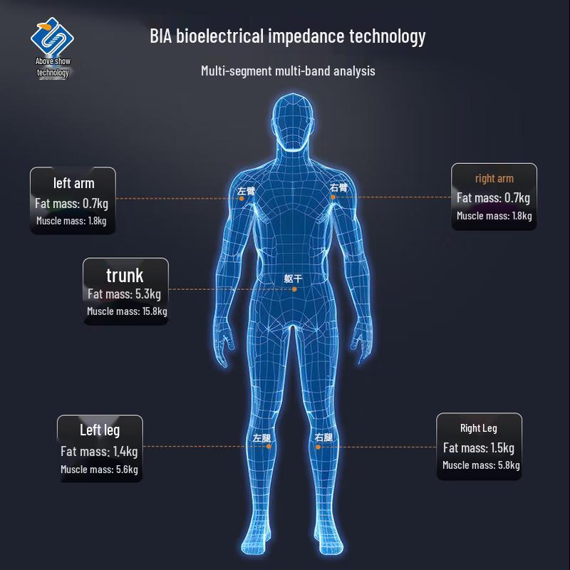 Shanghe SH-V19F Smart Body Fat Analyzer Scale with Printer (CN version)