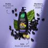 Nyle Naturals Volume Enhance Shampoo For Voluminous Hair With Reetha Blackberry & Amla Gentle Daily Care 400ml