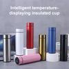 Smart Thermal Mug with Temperature Display 500ML Stainless Steel Vacuum Insulated Bottle Tea Bag Filter Portable Travel Cup