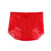 Hollow Lace Flowers Panties Women Sexy Seamless Lingerie Plus Size Hip Raise Briefs Breathable Health Knickers Sleep Underwear