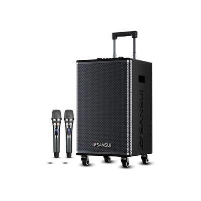 Портативная KTV колонка Sansui E10pro с беспроводным микрофоном, штекер CN (адаптер в комплекте)