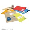 KOKUYO Color Laser Color Copy Label Relabel Quick Type with Margins On All Four Sides 100 Sheets 10-sided LBP-E80367
