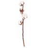 Daichi Farm Dried Flower Cotton Tree DO050040-000