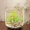 Ультра чистый экологический аквариум Прозрачный аквариум с черепахой Орнамент Пейзажный аквариум для рыбок Чаша для золотых рыбок