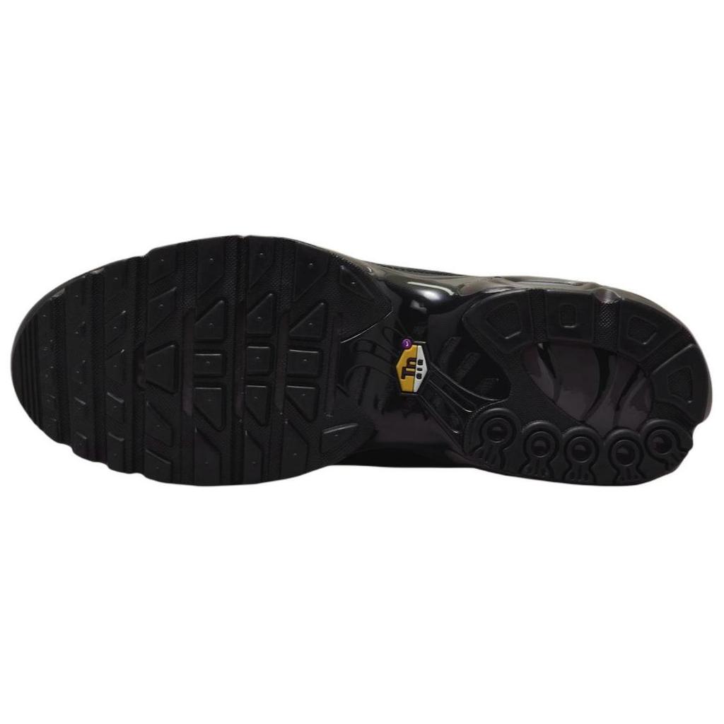 Nike Кроссовки Air Max Plus Premium Paris Unisex Black Black-Tea Petra-Brown HJ4519-200