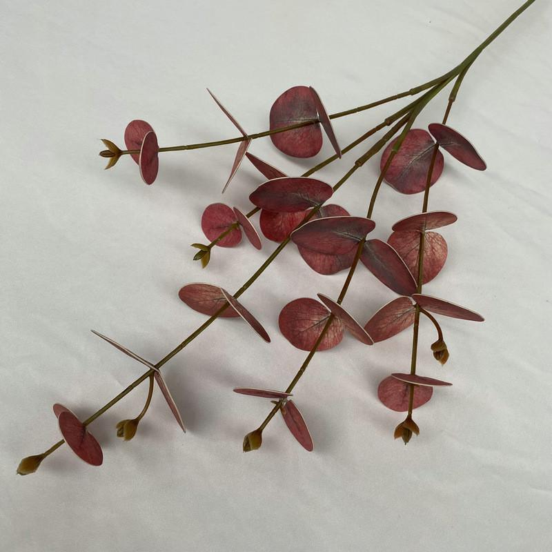 Стебли листьев эвкалипта для внутреннего и наружного свадебного украшения, подарок