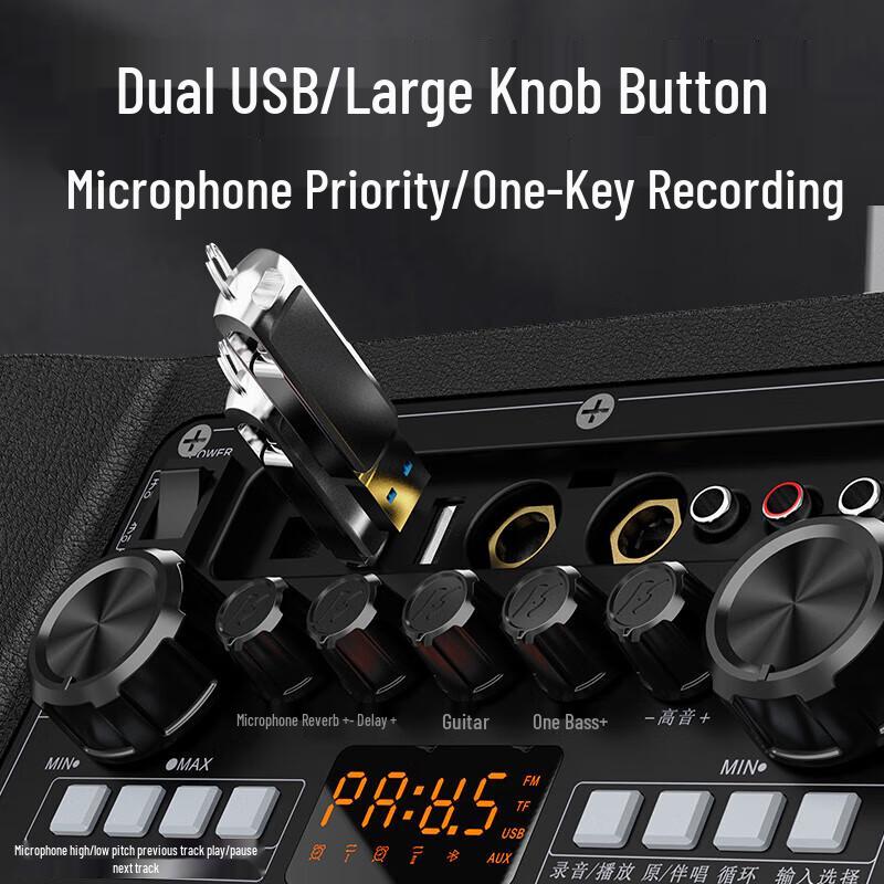 Sansui D12 Outdoor Karaoke Speaker with Wireless Mic