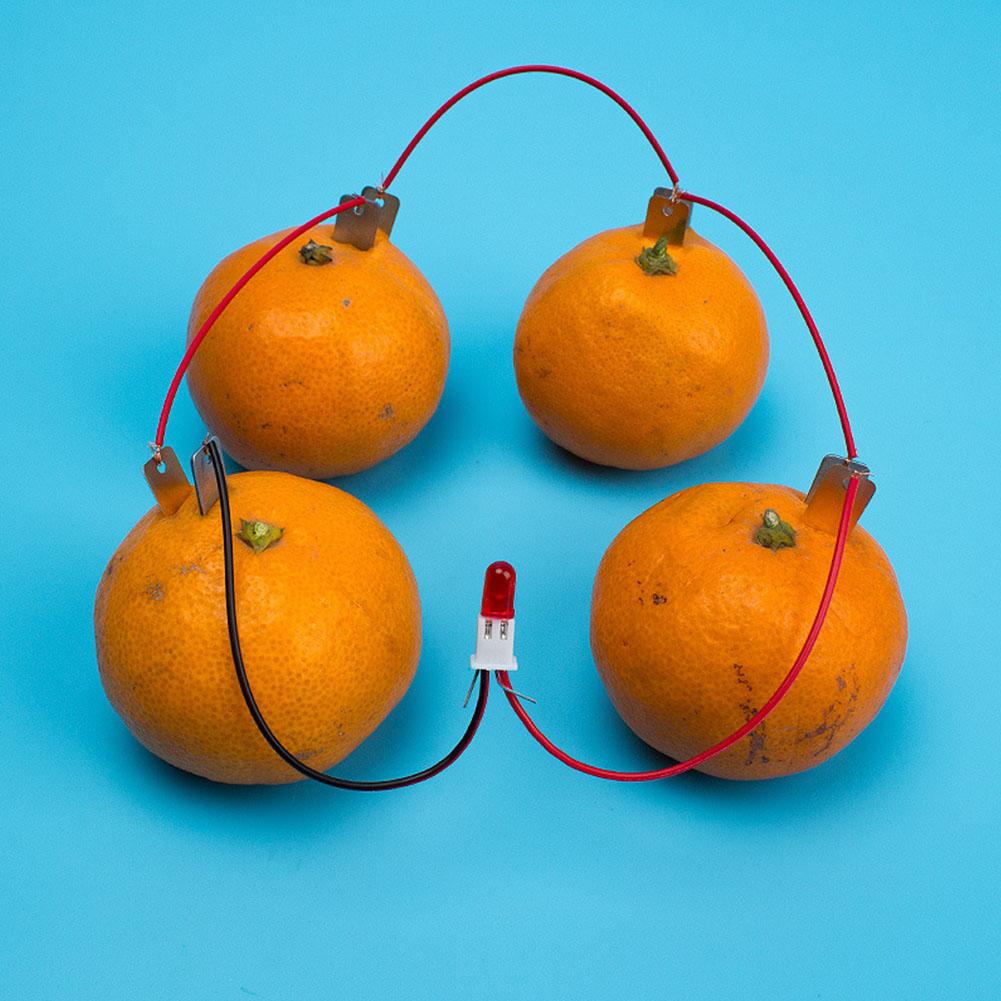 Children DIY Homemade Fruit Battery Power Educational Electricity Generating Experiment