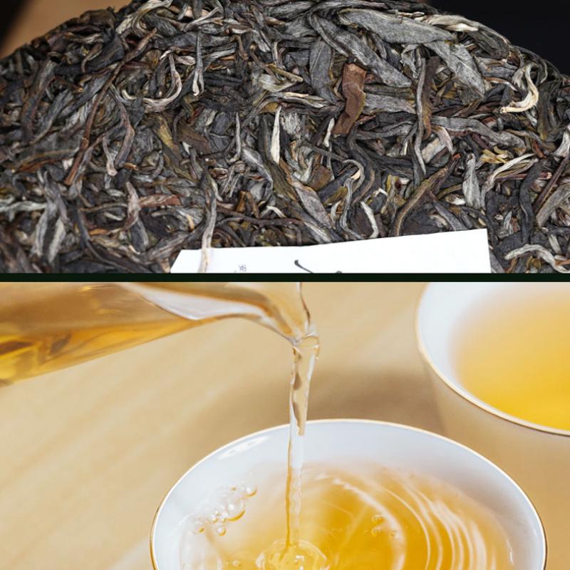 Хайваньский знаменитый чай горной выдержки из сырого дерева Пуэр Па Ша Гу Шу Шэн Пуэр 500 г