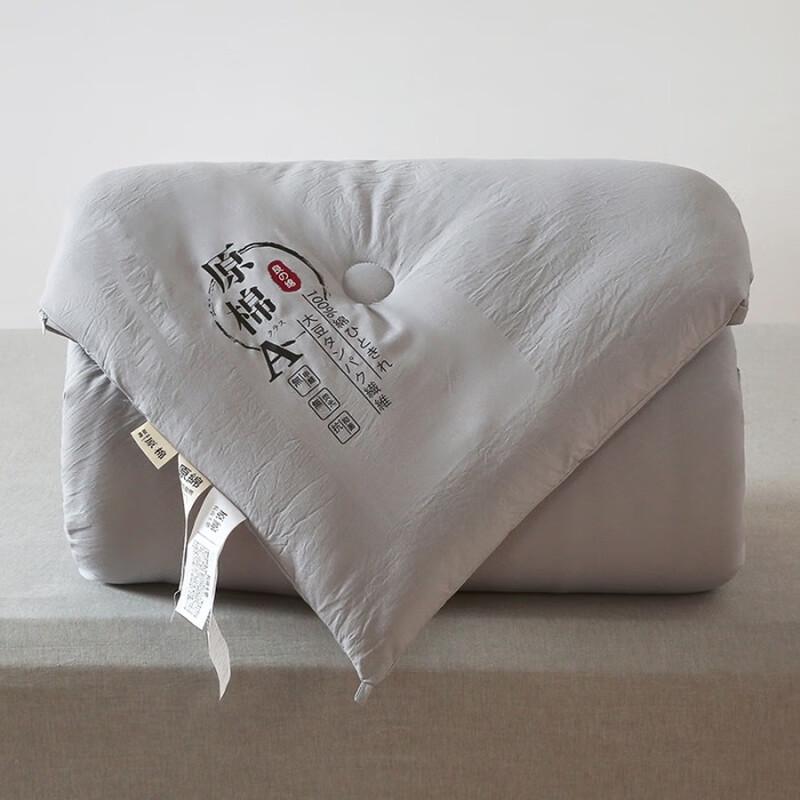 LISM Soy Fiber Thickened Winter Duvet