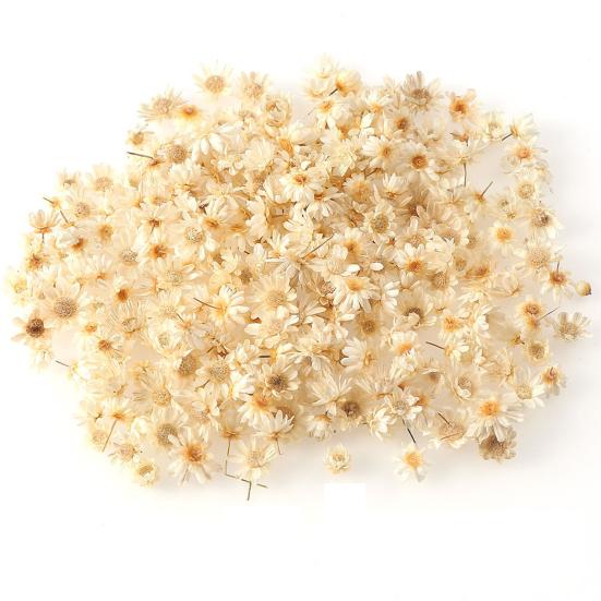 Привлекательный стабилизированный цветок, отличное качество изготовления, натуральный цветок ручной работы