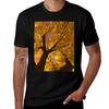 Fall Foliage Tshirt Basic Solid Color Casual Tee Shirt Tshirt
