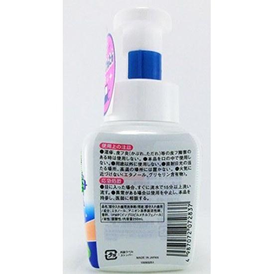 Partial Dent Cleaning Foam Dentures Denture Cleaner Mint Scent Disinfection Deodorization Pump Type 250ml Kobayashi Pharmaceutical