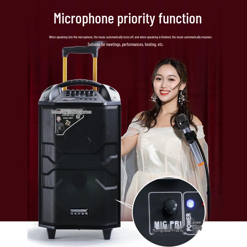 Temi QX-1229 Portable Trolley Speaker