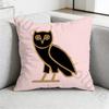 Rapper DDrake Pillow Case Square DoubleSided Printing Short Plush Sofa Cushion Cover Bedroom Bedside Pillow