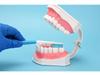 Детская модель зубов для обучения чистке зубов – съемные нижние зубы, размер 2x для обучения в детском саду