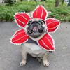 Шапка для собаки Демогоргон Дизайн плотоядного цветка Костюм для питомца Рваные лепестки Регулируемая Смешная шапка для питомца для маленьких собак кошек Косплей вечеринка Фотореквизит