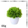 Non-fading Home Decor Eucalyptus Greening Table Centerpieces Energetic Decorative Plant