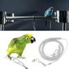 Anti-bite Parrot Training Rope Ultra-light Parrot Harness Bird Leg Ring Bird Leash  Macaw