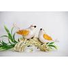 Polyresin Decorative Lovebirds Figurine for Home Decor Vaastu Fang Sue Housewarming Decorative Showpiece
