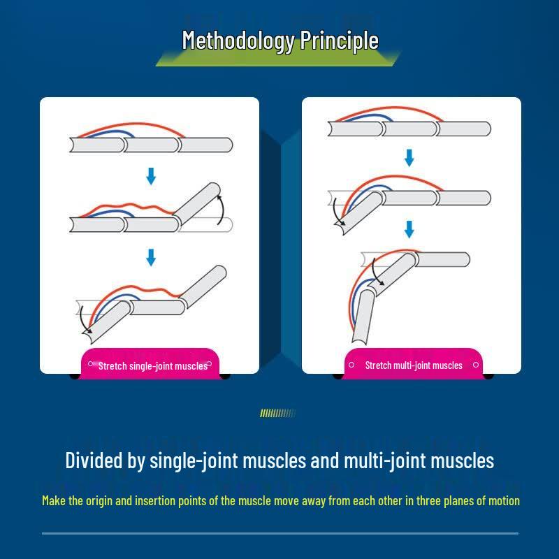 Selective Stretching for Upper Body