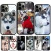 Красивый щенок хаски Чехол для телефона Для iPhone 17 Air 15 16 14 13 12 Pro Max 11 Pro Max Plus Coque Shell