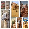 Animal Camel Phone Case for Samsung Galaxy A56 A54 A42 A36 A34 A26 A24 A16 A14 A12 A06 A50 A52 A10 5G Soft TPU Shell Fundas Bags