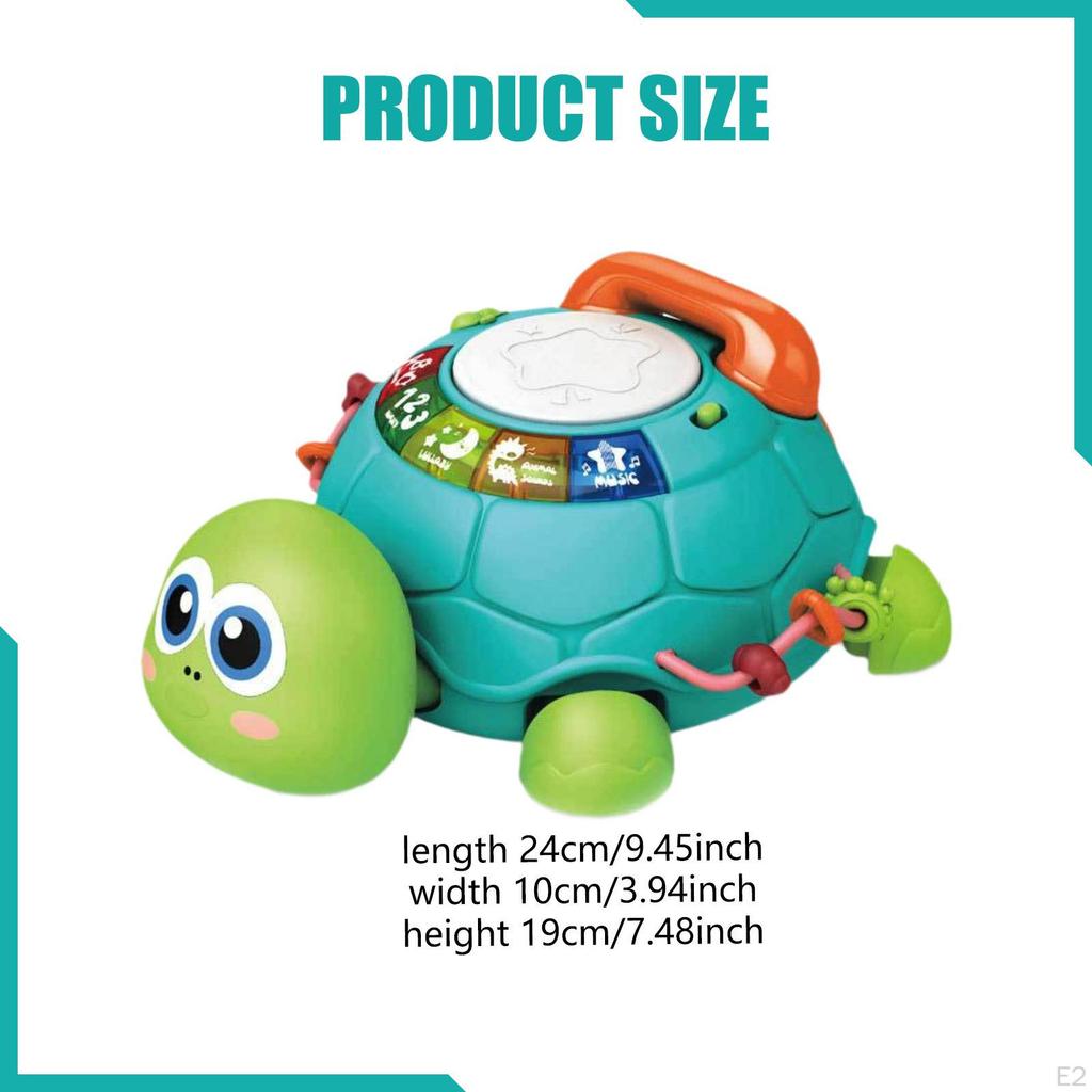 Musical Crawling Toy with Lights And Sounds, Sensory Development for Children Aged 6 Up,