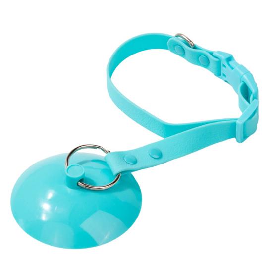 Pet Grooming Suction Cup Holder Adjustable Dog Bathing Restraint Loop Leash for Dogs And Cats Nail Trimming Shower Bathing