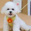 Kompet Dog Cat Walking Leash Flower Chest Strap Harness Lead Leash Set, Green