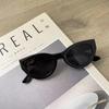 Retro Cat Eye Sunglasses For Women Small Frame Black Gradient Ladies Sun Glasses Vintage Brand Designer  Uv400
