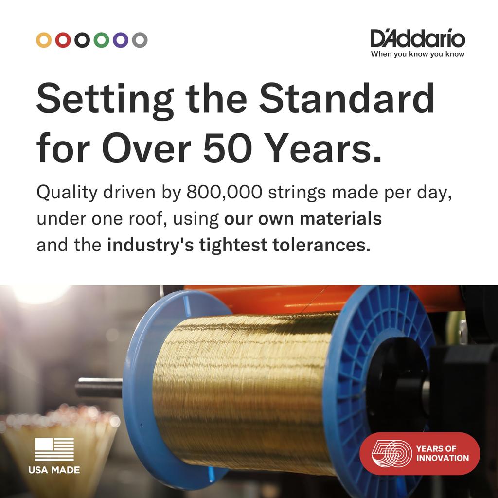 Phosphor Bronze Acoustic Guitar Pack of 10 D'Addario Strings, Medium, .013-.056, EJ17-10P,