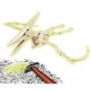 Научная игра Clementoni Archéo Ludic Pteranodon Fluorescent