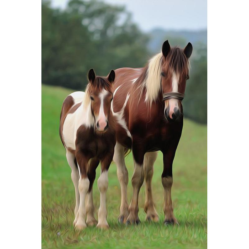 Лошадь DIY 5D алмазная живопись полная круглая дрель животное Алмазная вышивка крестиком мозаичные наборы Смола стены книги по искусству домашний декор