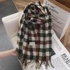 Autumn and Winter Korean Style Color Blocked Imitation Cashmere Plaid Fashionable and Versatile Thickened and Warm Student Shawl
