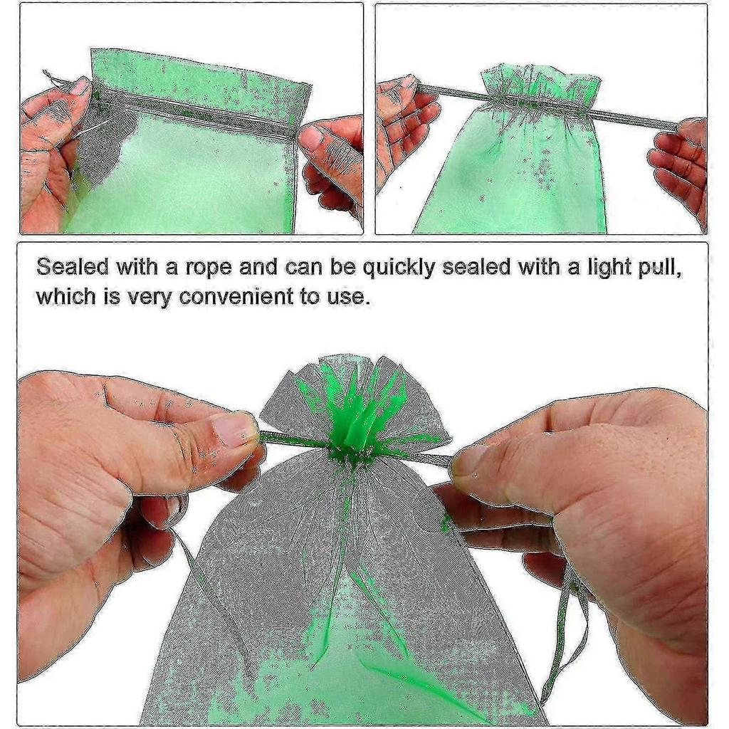 100 шт. Мешок для защиты грозди 30x20 см / 10x15 см Виноград Фрукт Органзовый мешок со шнурком Обеспечивает общую защиту 25-26