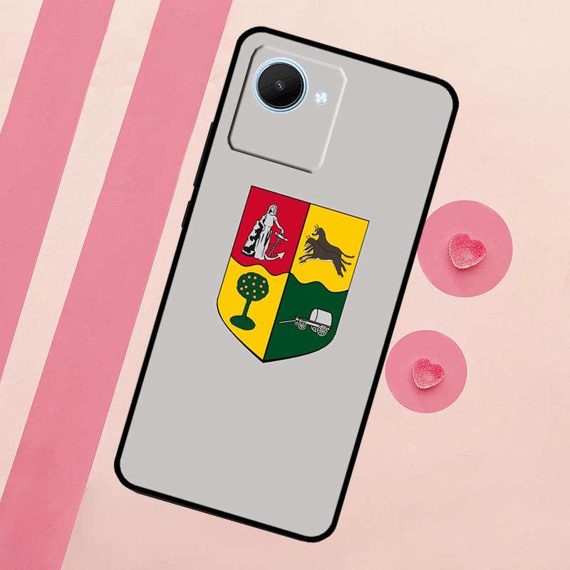 South African Flag Case For Realme C53 C55 C35 C33 C31 C30 C25s C21Y C15 C11 GT Neo 5 3T 2T 9 10 11 Pro Plus