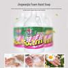 Jingwanjia Healthy Care Foaming Hand Soap