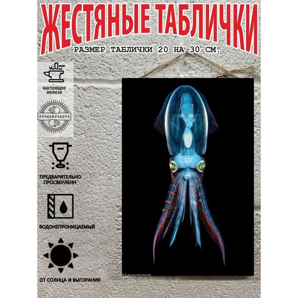 Металлические Настенные Знаки, Коллекция Морских Существ, Декор Комнаты, 20x30 см