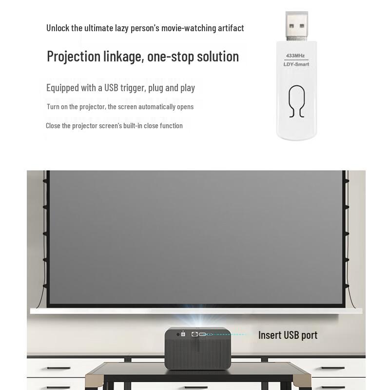 Three Seasons Electric Ceiling Recessed Projector Screen