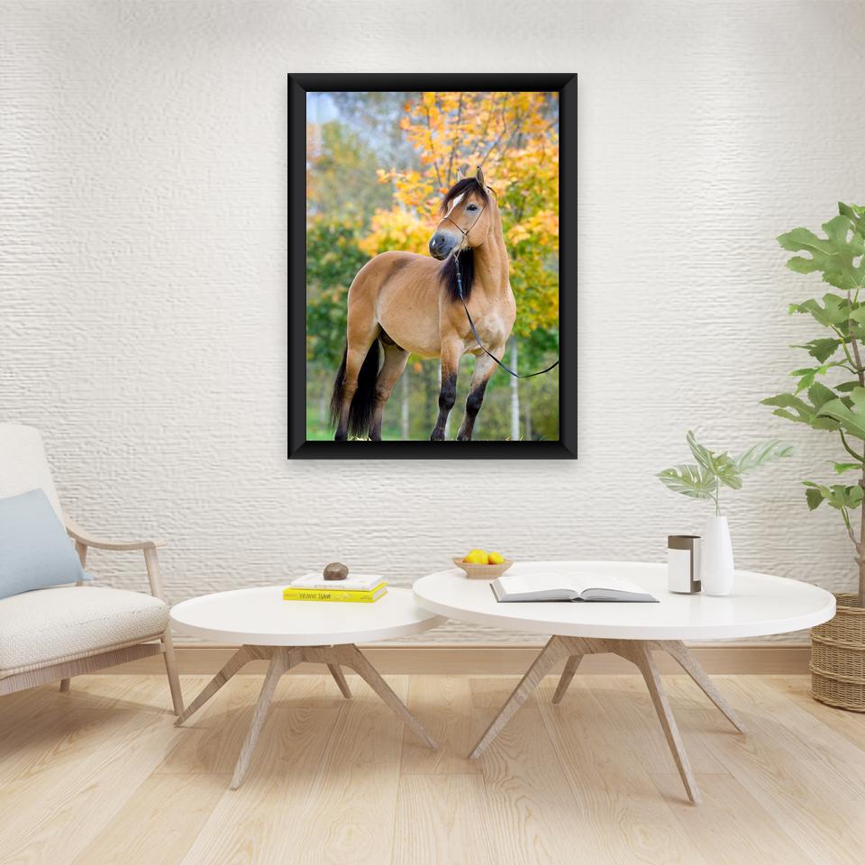 Лошадь DIY 5D алмазная живопись полная круглая дрель животное Алмазная вышивка крестиком мозаичные наборы Смола стены книги по искусству домашний декор