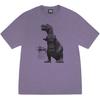 Stussy Big & Meaty Tee Pigment Dyed 1905133