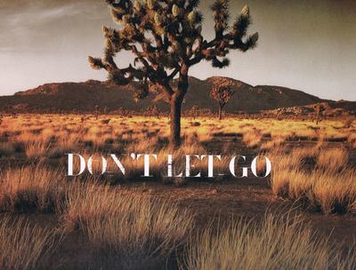 12-дюймовая пластинка MONDO GROSSO Dont Let Go AIJT5115 REAL EYES 2001 Япония Японский Клубный Танец Б/У