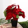 2026 Red & Green Poinsettia Bonsai Christmas Decoration for Living Room and Mall