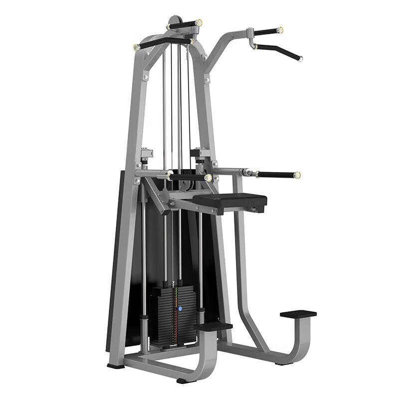 XinZhen Assisted Pull-up & Dip Station