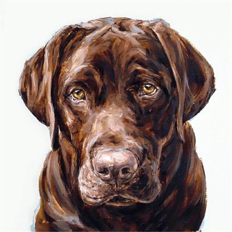 5D DIY алмазная живопись собака Алмазная вышивка животное вышивка крестиком полная круглая дрель со стразами ручное искусство домашний декор подарок